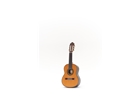 Esteve 3g740
