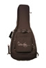 Brian may guitars Bm gig bag Brian may guitars Bm gig bag